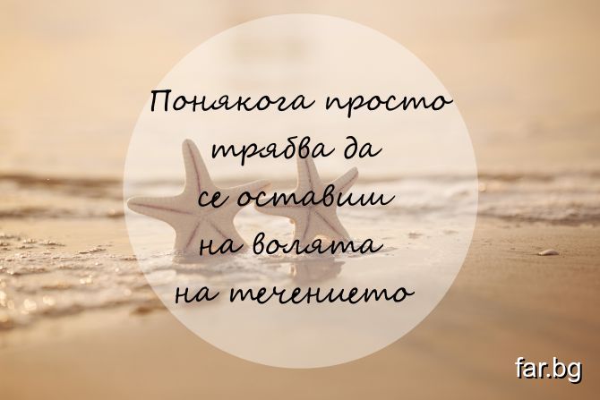 7324_b_bg.jpg